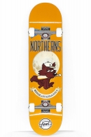 FEEL-006-COMP FEEL-006-COMP