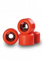 1231000206 1231000206